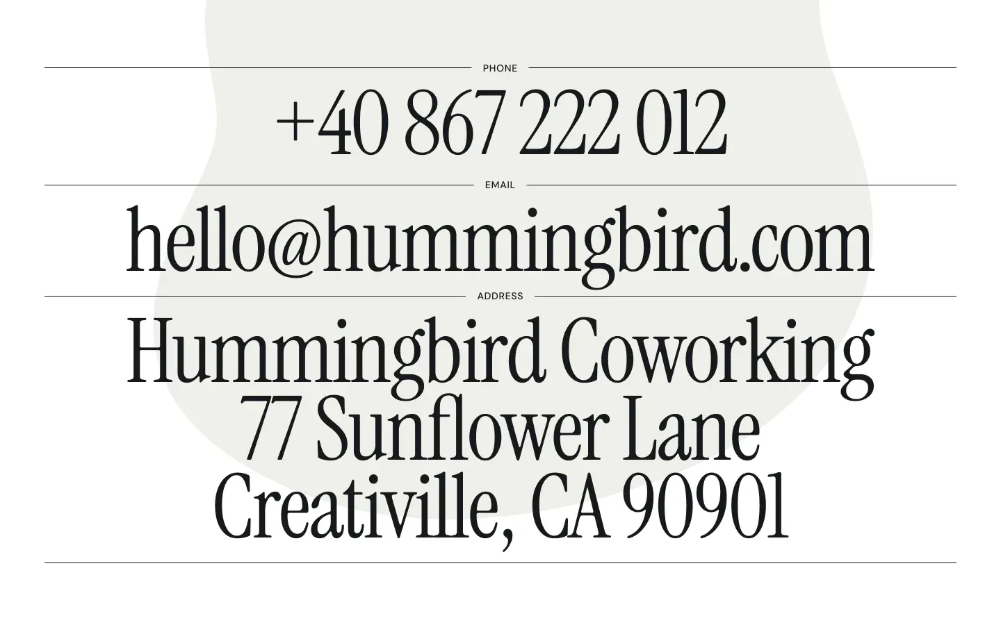 Hummingbird gallery image 5